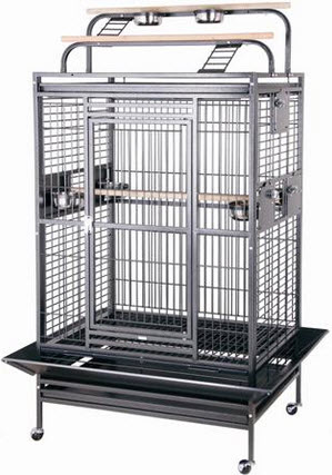 Cockatoo Cage - Learn to choose the right cage for your bird