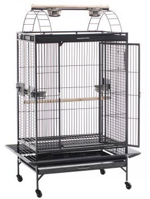 Cockatoo Cage - Learn to choose the right cage for your bird